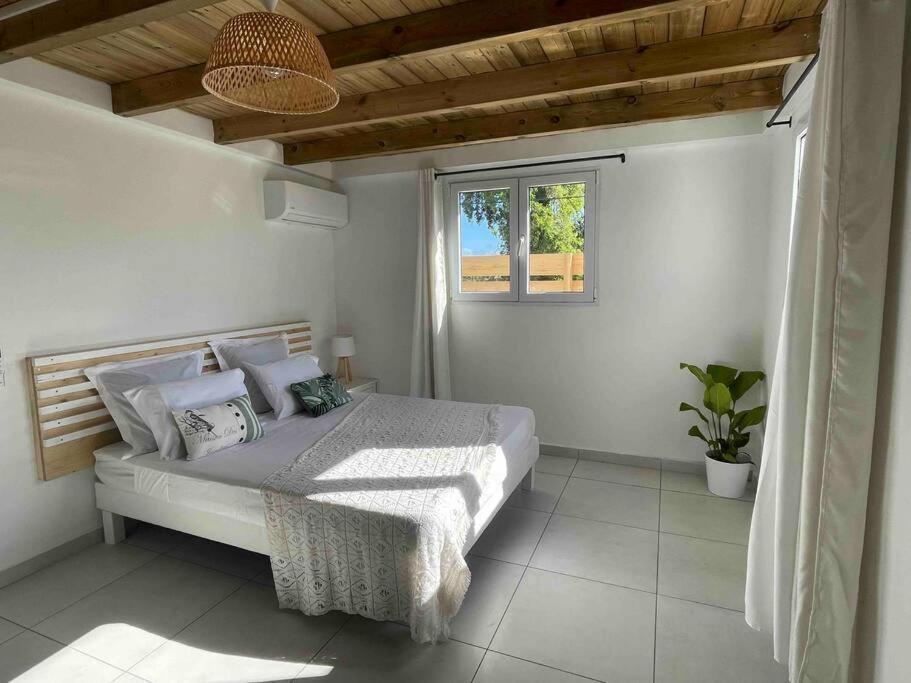 Villa Les Oiseaux D'Amour ساينت آن المظهر الخارجي الصورة