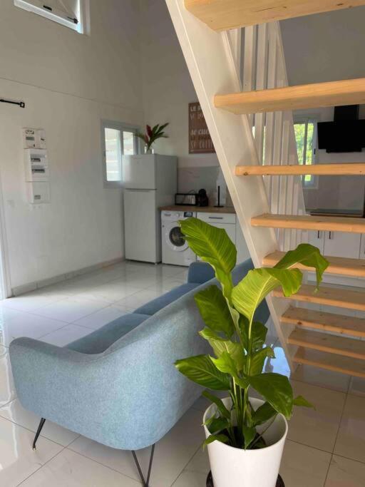 Villa Les Oiseaux D'Amour ساينت آن المظهر الخارجي الصورة